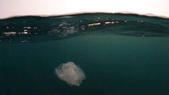 海洋上漂浮的塑料