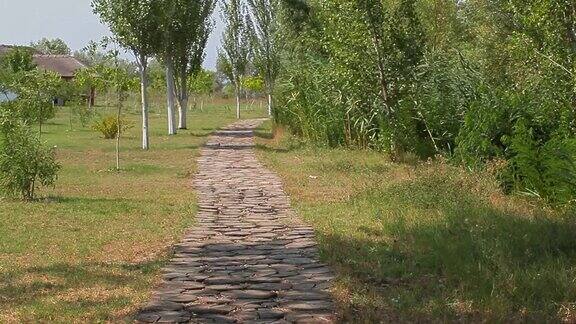 天然木桩道路背景