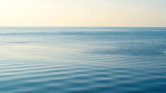 海鸥飞过大海