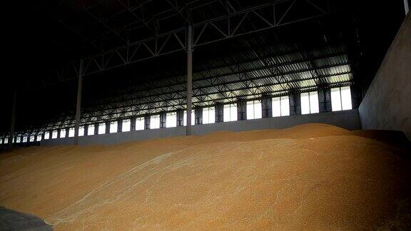 巨大的农作物储存设施覆盖了大部分的股票磨仓里的小麦农业物流