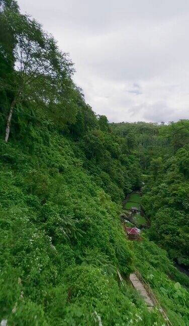 垂直视频4k鸟瞰亚洲热带丛林公园雨林小径木质