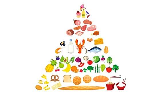 食物金字塔营养动画在一个白色的背景