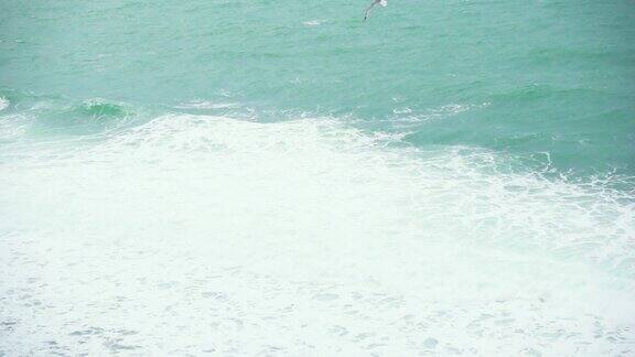 慢镜头大泡沫海浪和海鸥