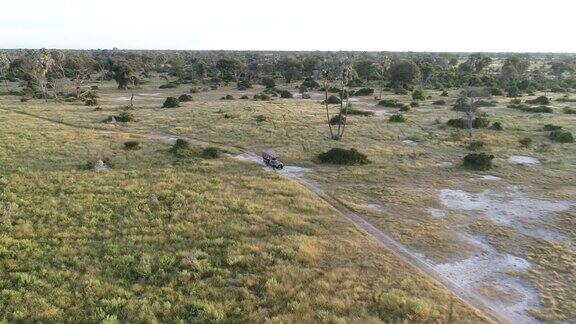 鸟瞰图一辆游猎汽车通过奥卡万戈三角洲的灌木丛
