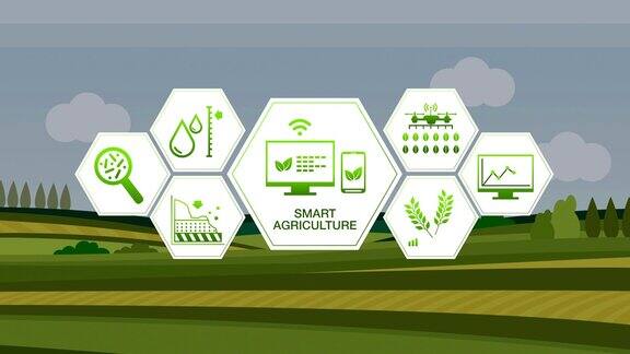 智慧农业智慧农业大麦绿田六边形信息图形图标物联网4工业Revolution.2