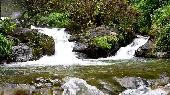纯净的淡水瀑布在森林