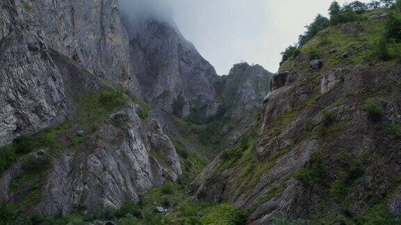 在陡峭的悬崖之间有绿色植物覆盖的深裂缝