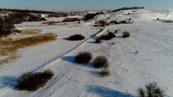 空中拍摄在冬芦苇和白雪覆盖的草地上