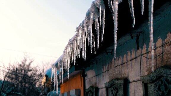 屋顶上正在融化的冬季冰柱滴着水