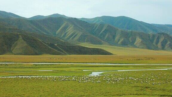 草原上有羊有河