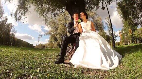 新娘和新郎在公园里坐在树旁