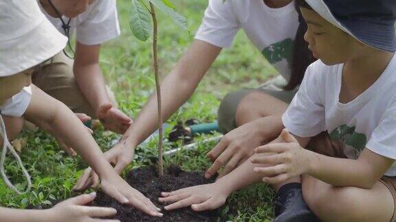 植树节团体志愿者植树造林拯救世界老师学生男孩女孩儿童环境保护栽培树苗铲子手