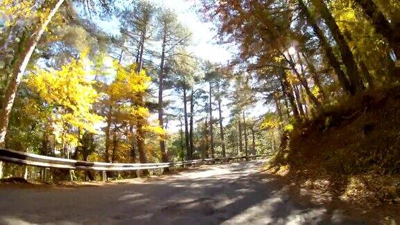 风景优美的路线穿过混合森林的山区GoPro
