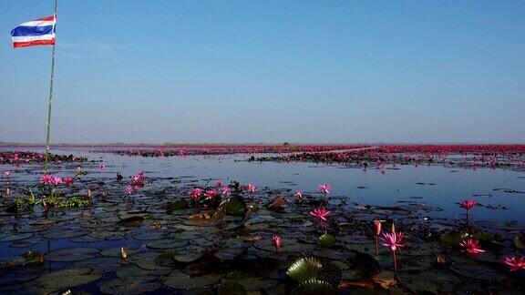 泰国的红莲湖