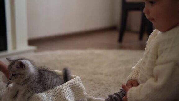 宝宝和小猫玩Tomcat在地毯上靠近燃烧的壁炉在家里舒适条纹小猫玩线球凯蒂跑去看摄像机快乐可爱的宠物童年野性自然