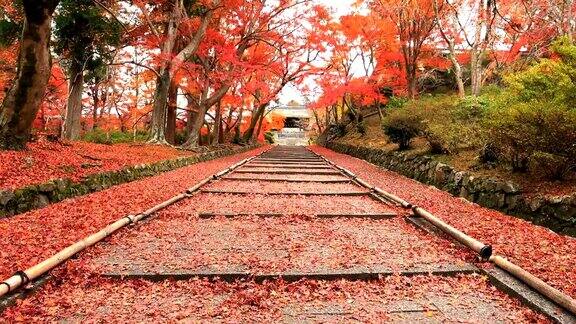 京都山那区的Bishamondou秋天的红叶