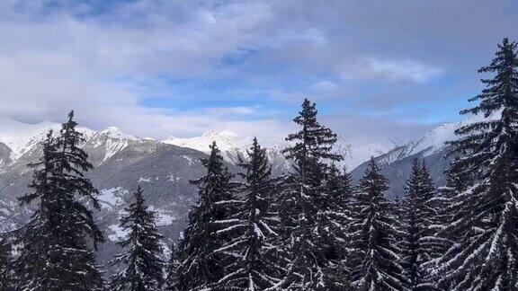 松树和雪山在美丽的云朵下