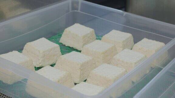 将待成熟的奶酪放入塑料容器中放在特制的网子上
