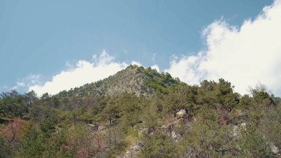 蓝天下的山脊上覆盖着森林在阳光明媚的夏日里蓝天下的山坡和山峰上覆盖着绿油油的树叶风景如画