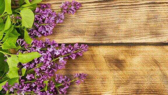 新鲜芬芳的紫丁香树枝躺在烧焦的木质背景上