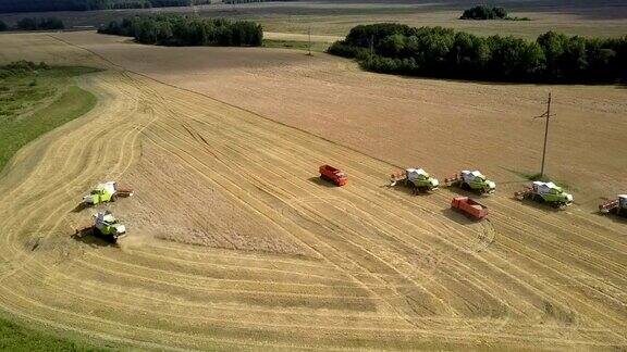 鸟瞰图绿色收割机收集小麦抛秸秆