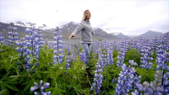 年轻女子奔跑在花羽扇豆田在冰岛过着幸福的生活和享受假期在北方的国家-慢镜头录像人们旅行的乐趣概念