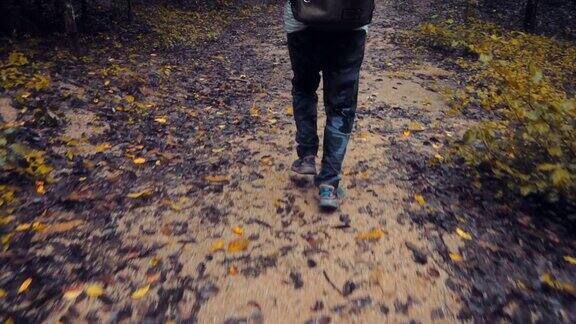 男人在森林小径徒步旅行
