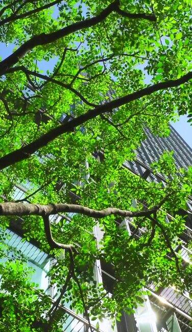 现代化的办公大楼和清新的绿树