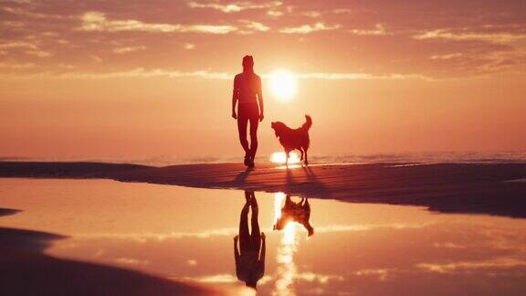 在日落时与狗散步