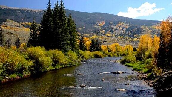 秋天的颜色沿着蓝色的河在Summit县科罗拉多州