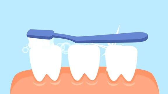 用牙膏和牙刷清洁牙齿保持口腔卫生