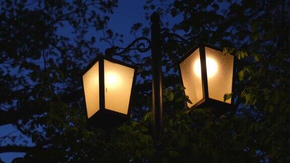 城市公园街灯风格复古灯笼