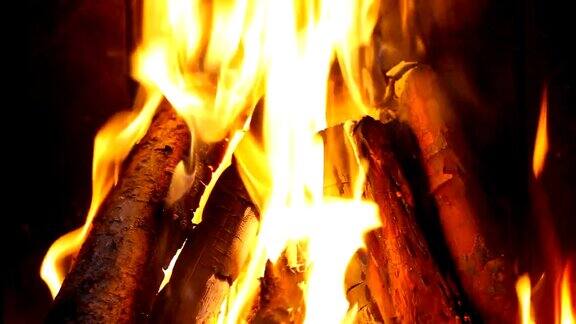 原木火在壁炉-HD1080p