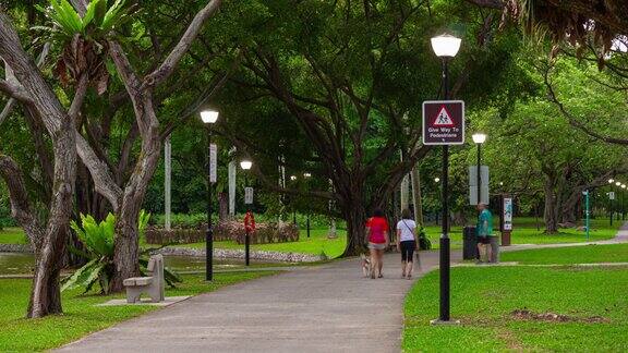 白天新加坡城市公园道路延时4k全景图