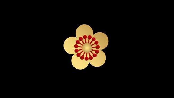动画金色花朵中国风格与黑色背景隔离