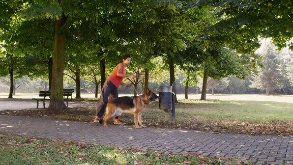 人们宠物狗在公园里照顾阿尔萨斯狗