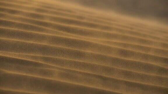 在沙漠的沙丘里沙子随风摇摆慢动作镜头
