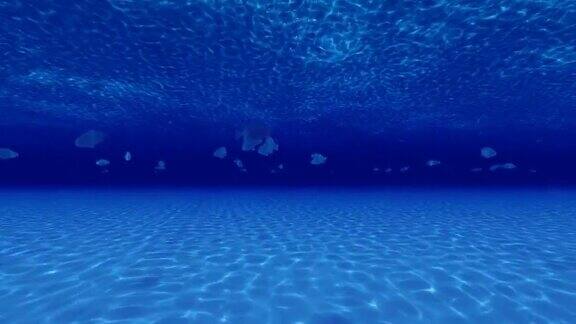 清澈的蓝色水下游泳鱼
