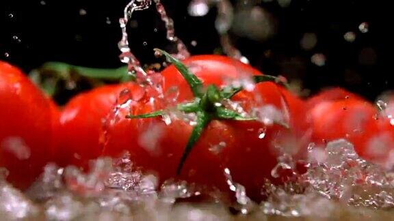 新鲜西红柿慢动作