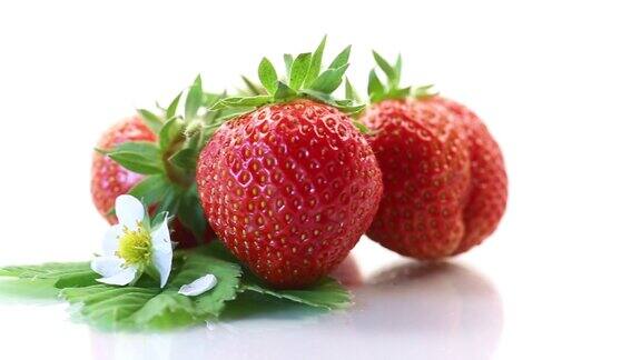 成熟多汁的红色草莓白色背景