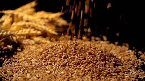 麦粒以慢镜头落下背景是一捆小麦在滑块上拍摄