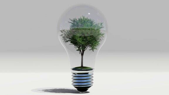 绿色能源与树内球茎