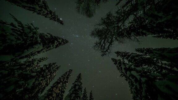 森林上空星星的时间流逝