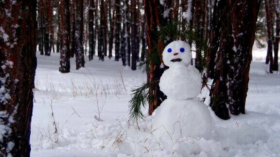 松树林里的雪人站在户外