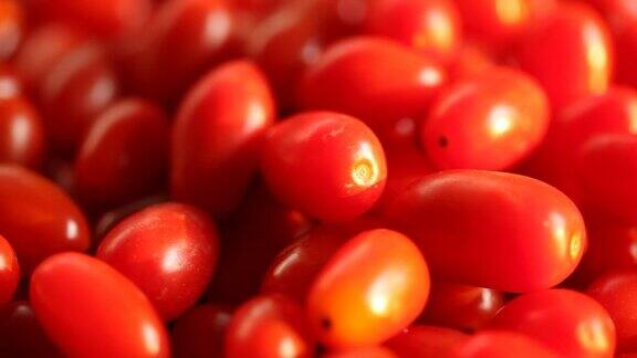 红色番茄背景一组番茄