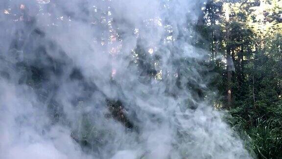森林大火冒烟