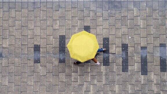 顶视图上的人与伞走在街上雨天