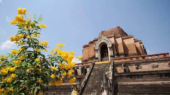 泰国清迈的ChediLuang寺