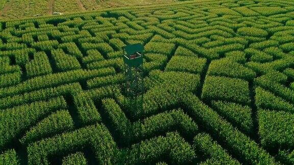 无人机拍摄的宾夕法尼亚州波科诺斯地区巨大的万圣节玉米迷宫的空中全景视频