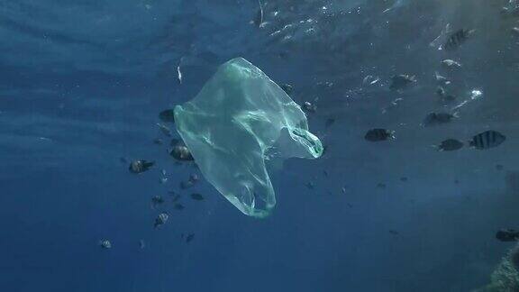 慢镜头阳光下蓝色的水面下黄色的塑料袋和一群热带鱼慢慢地游动海洋塑料污染印度太平洋鱼类学院军士长或军士长